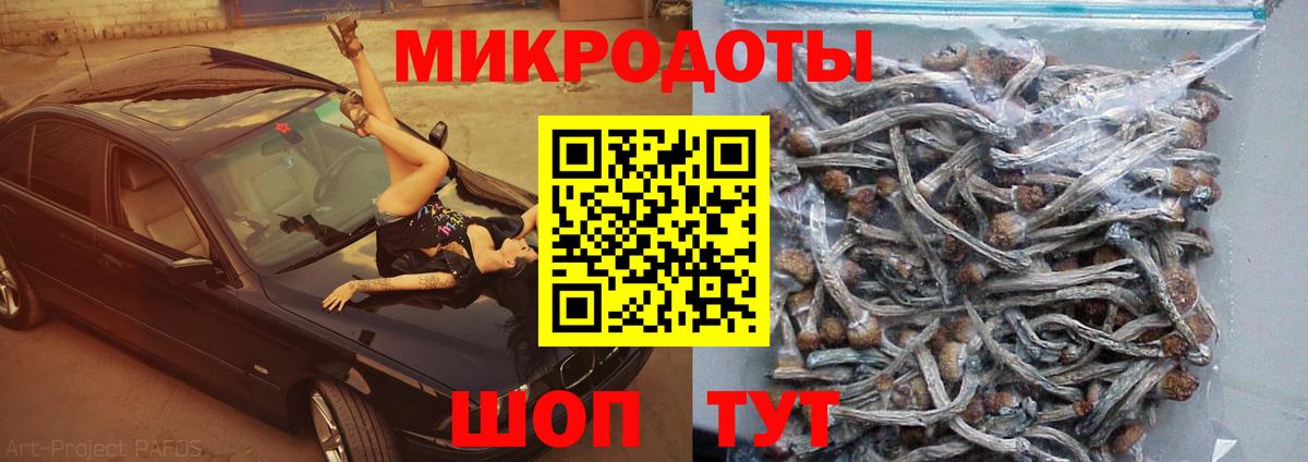Галлюциногенные грибы прущие грибы  Вход с VPN  Балаково  где продают   Псилоцибиновые грибы мицелий 